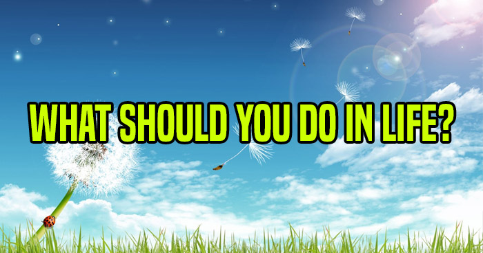 what-should-you-do-in-life-quiz